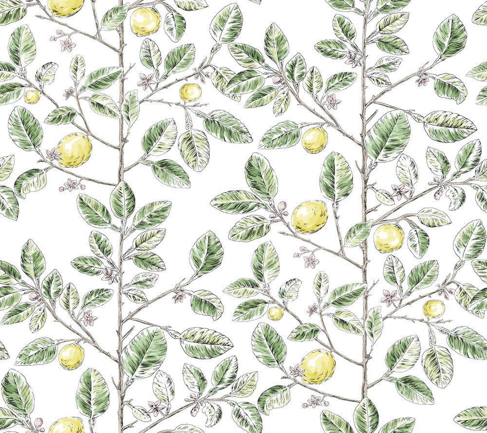 Limoncello Toile Green Wallpaper by York Wallcoverings Toile Resource Library Covers about 60.8 square feet 27-in by 27-ft long roll Unpasted 24 - Fabric Carolina -