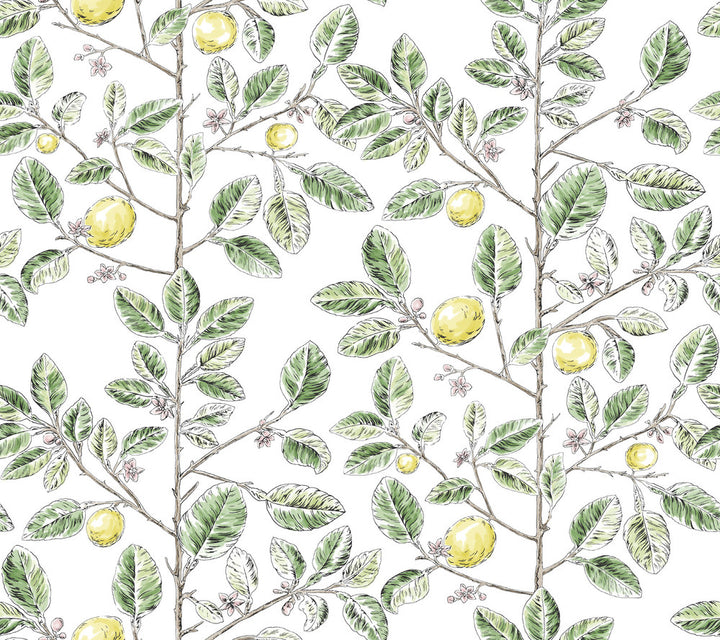 Limoncello Toile Green Wallpaper by York Wallcoverings Toile Resource Library Covers about 60.8 square feet 27-in by 27-ft long roll Unpasted 24 - Fabric Carolina -