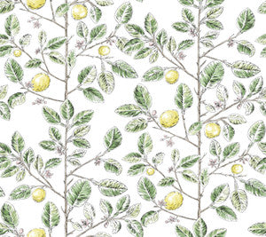 Limoncello Toile Green Wallpaper by York Wallcoverings