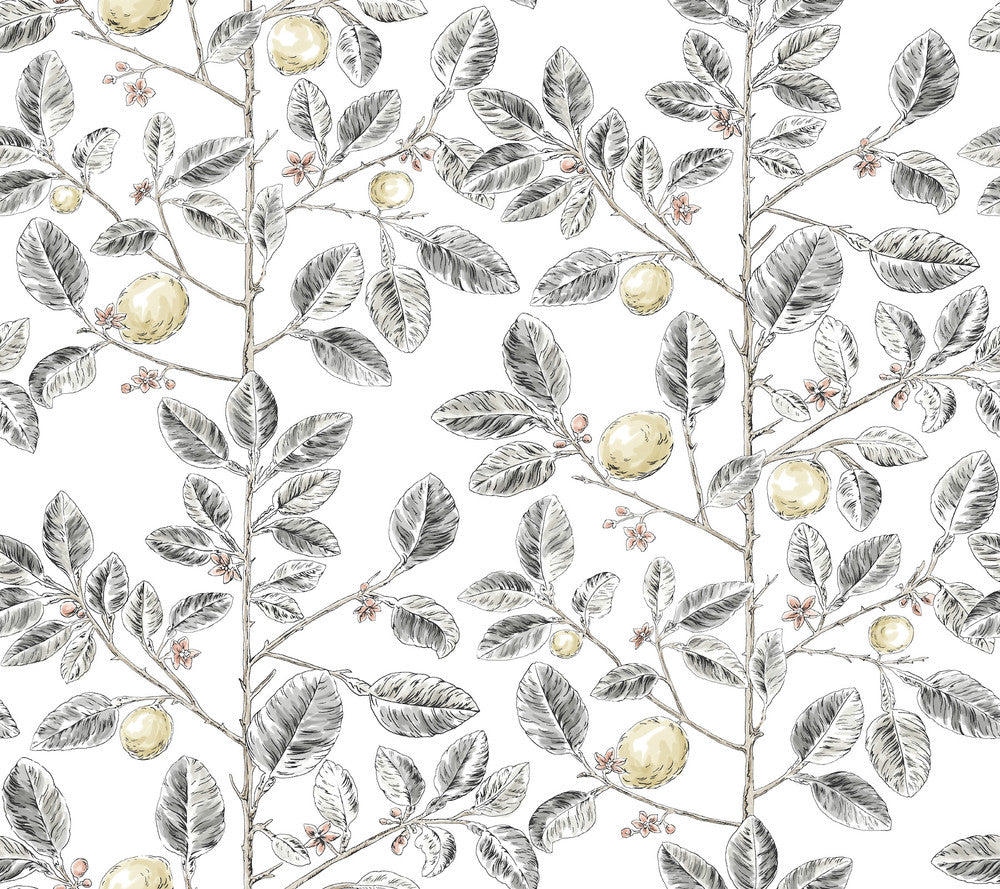 Limoncello Toile Black Wallpaper by York Wallcoverings Toile Resource Library Covers about 60.8 square feet 27-in by 27-ft long roll Unpasted 24 - Fabric Carolina -