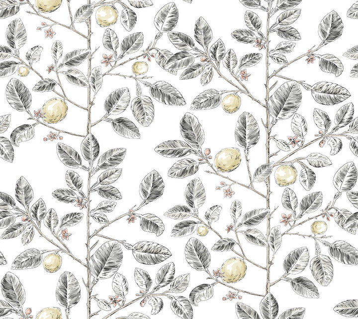Limoncello Toile Black Wallpaper by York Wallcoverings Toile Resource Library Covers about 60.8 square feet 27-in by 27-ft long roll Unpasted 24 - Fabric Carolina -