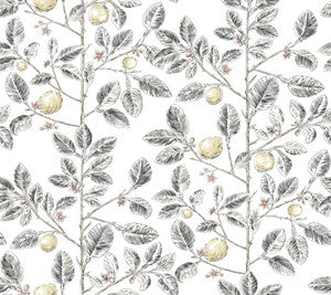 Limoncello Toile Black Wallpaper by York Wallcoverings