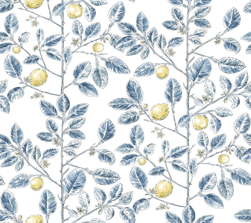 Limoncello Toile Blue Wallpaper by York Wallcoverings Toile Resource Library Covers about 60.8 square feet 27-in by 27-ft long roll Unpasted 24 - Fabric Carolina -