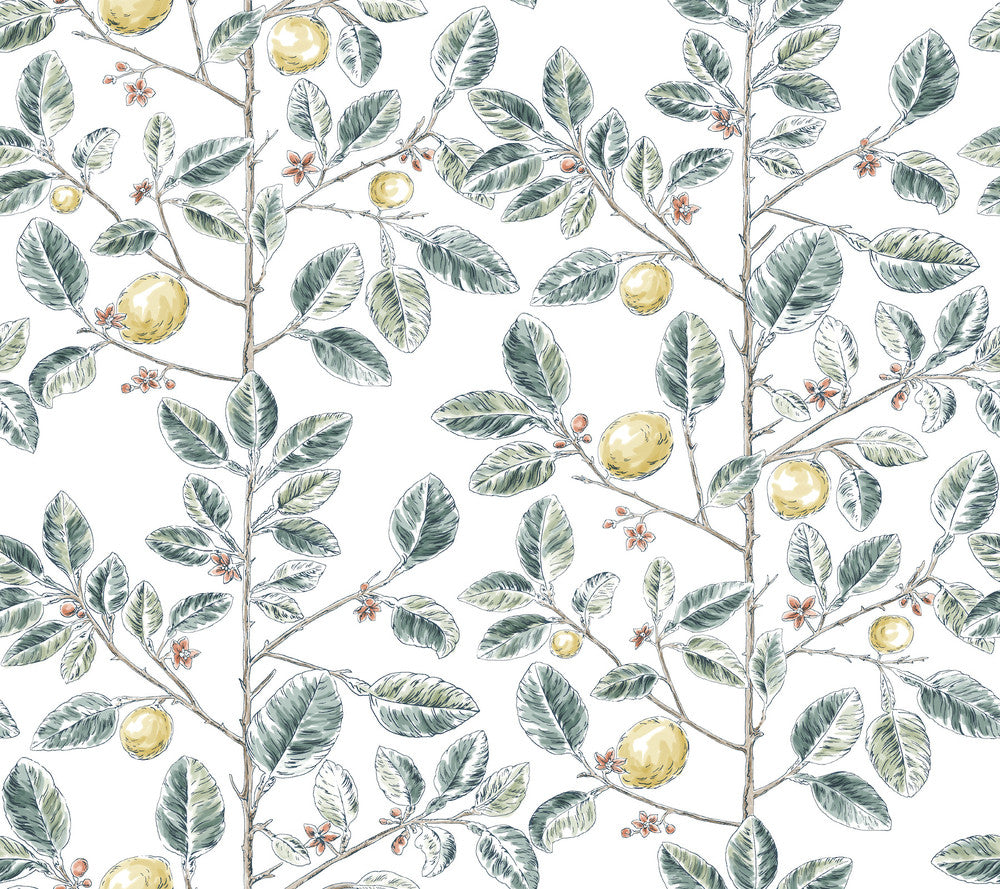 Limoncello Toile Forest Wallpaper by York Wallcoverings Toile Resource Library Covers about 60.8 square feet 27-in by 27-ft long roll Unpasted 24 - Fabric Carolina -