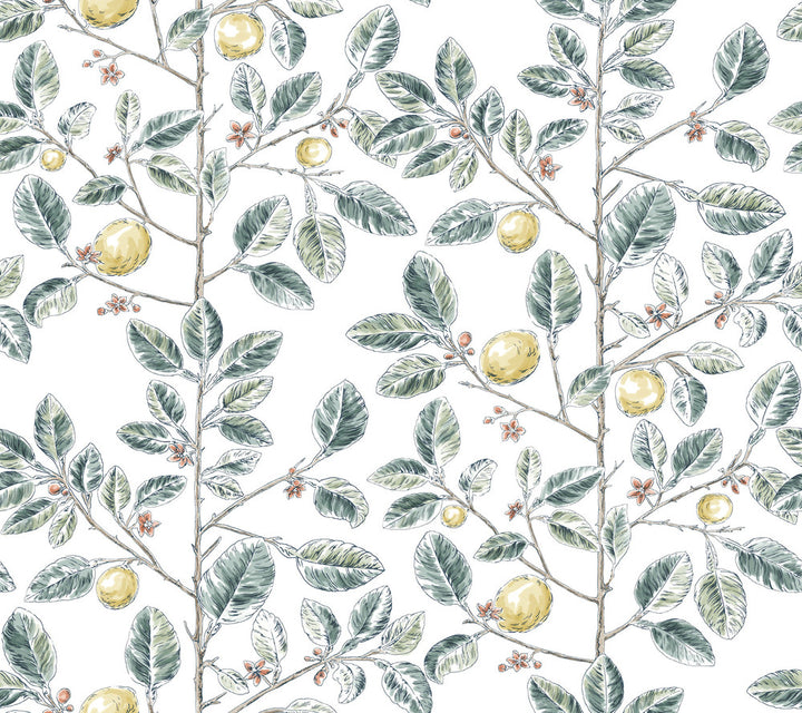Limoncello Toile Forest Wallpaper by York Wallcoverings Toile Resource Library Covers about 60.8 square feet 27-in by 27-ft long roll Unpasted 24 - Fabric Carolina -