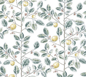 Limoncello Toile Forest Wallpaper by York Wallcoverings