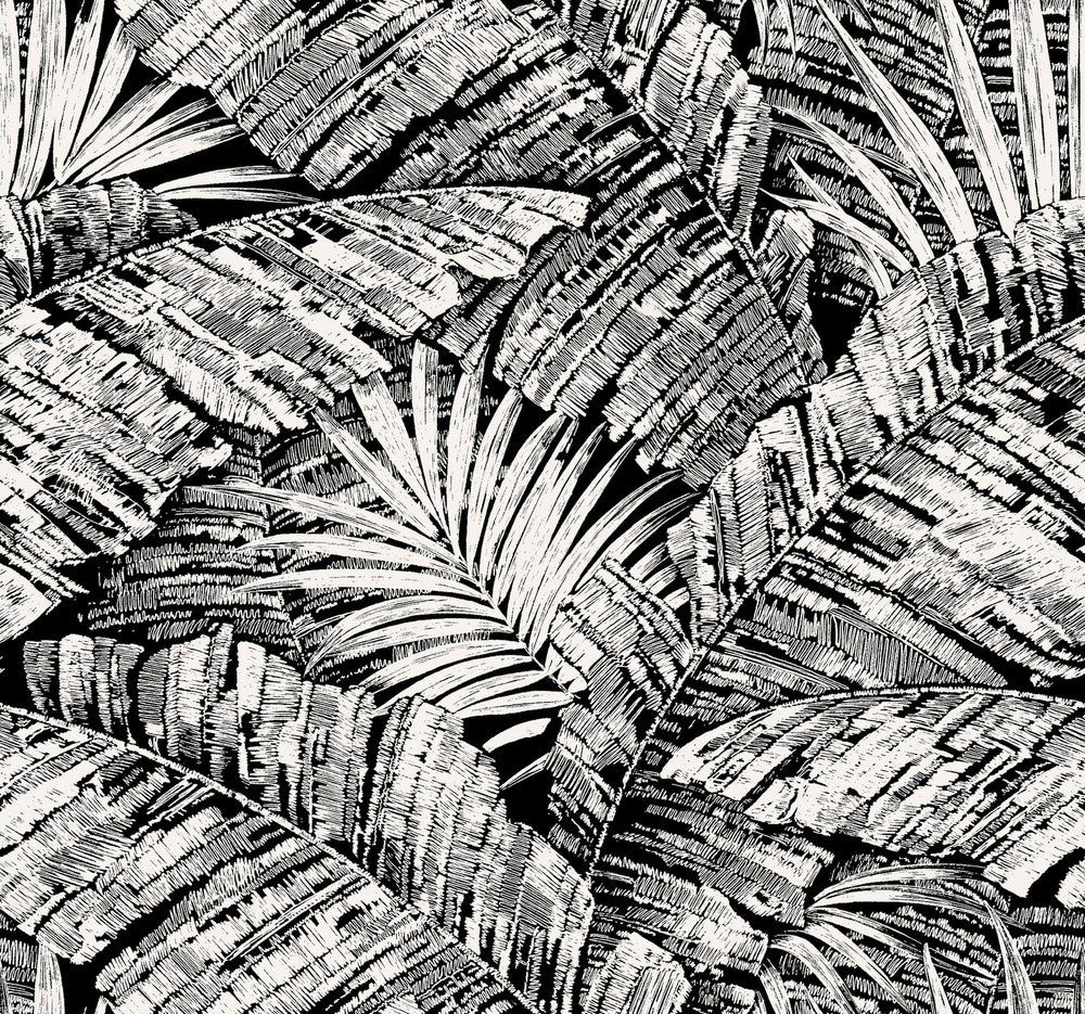 Palm Cove Toile White & Black Wallpaper by York Wallcoverings Toile Resource Library Covers about 60.8 square feet 27-in by 27-ft long roll Unpasted 25.25 - Fabric Carolina -