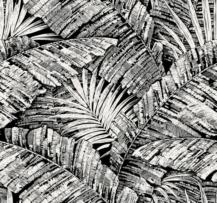 Palm Cove Toile White & Black Wallpaper by York Wallcoverings Toile Resource Library Covers about 60.8 square feet 27-in by 27-ft long roll Unpasted 25.25 - Fabric Carolina -