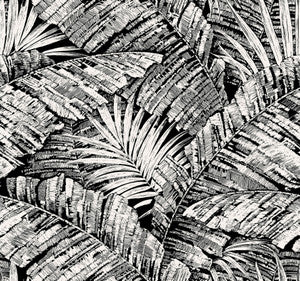 Palm Cove Toile White & Black Wallpaper by York Wallcoverings