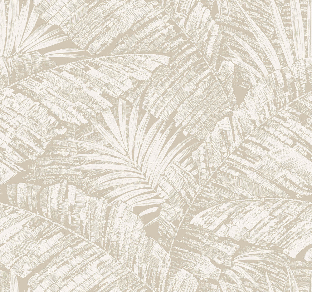 Palm Cove Toile White & Taupe Wallpaper by York Wallcoverings Toile Resource Library Covers about 60.8 square feet 27-in by 27-ft long roll Unpasted 25.25 - Fabric Carolina -