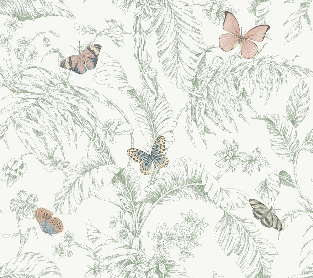 Papillon Blush Wallpaper by York Wallcoverings Toile Resource Library Covers about 60.8 square feet 27-in by 27-ft long roll Prepasted 24 - Fabric Carolina -