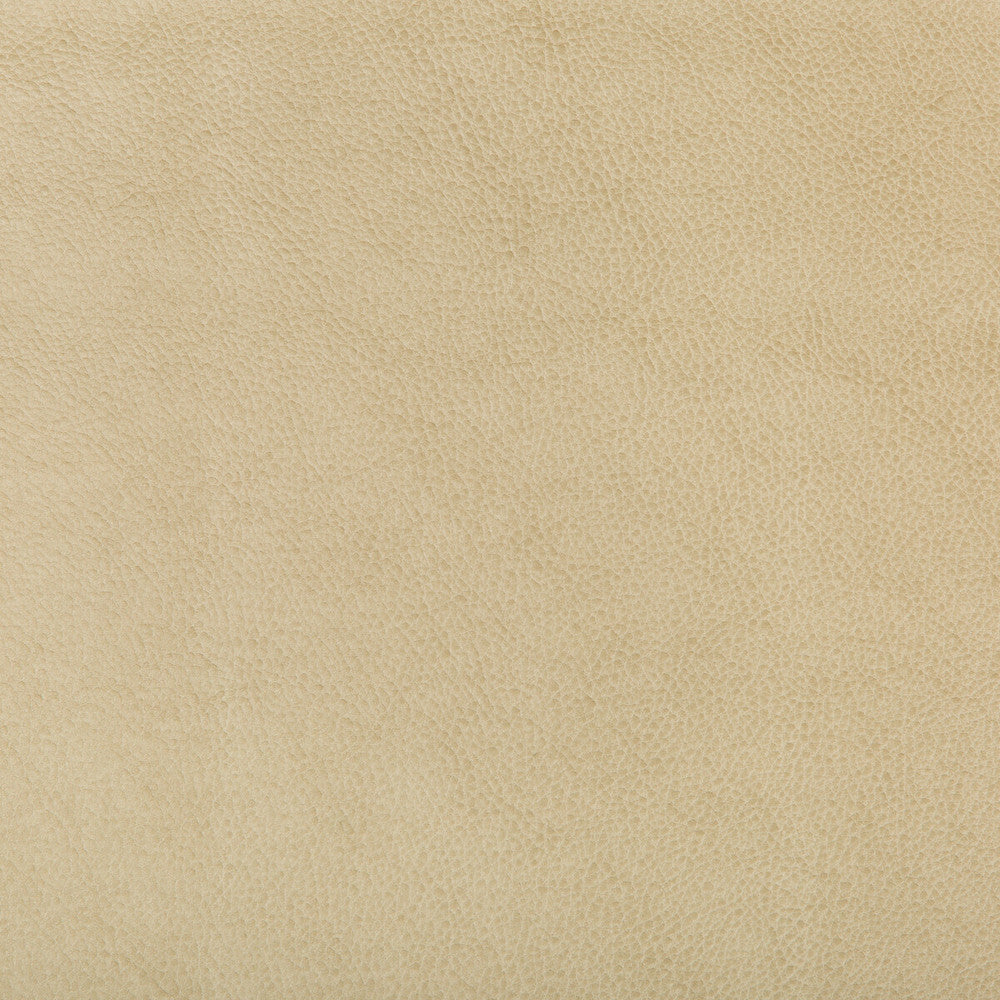 Ruffian-16 by Kravet Design Fabric - POLYURETHANE - 50%;SILICONE - 50% China HEAVY Horizontal: 0 and Vertical: 0 54 - Fabric Carolina -