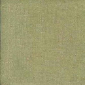 Rugby Chinchilla by Norbar Fabric See Sample 55% RAYON 45% POLYESTER - - </p><p>Repeat: Horizontal: and Vertical: - 54" - Fabric Carolina -