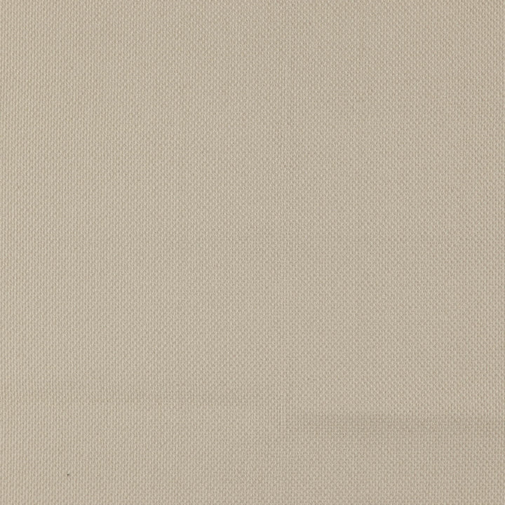 Rugged 31J7391 by JF Fabric Winning Weaves VII- Wovens - Faux Suede Book 100% Polyester China 48000 Horizontal: and Vertical: 58 - Fabric Carolina -