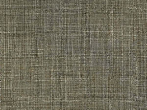 Runway Sahara by Norbar Fabric CONDOR 100% POLYESTER TAIWAN 54" - Fabric Carolina -