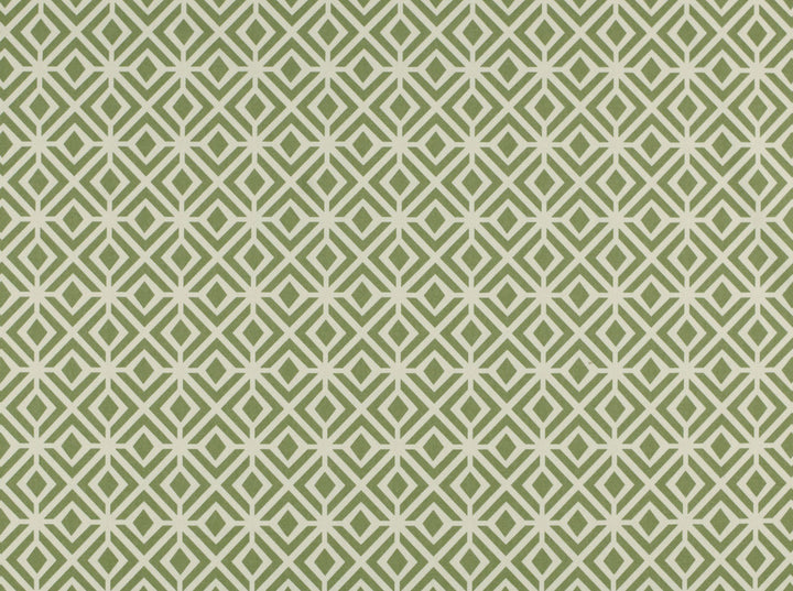 Rupert 25 Olive by Covington Fabric 100% COTTON DUCK Various 50000 Horizontal: 3 and Vertical: 3.13 57 - Fabric Carolina -