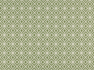 Rupert 25 Olive by Covington Fabric