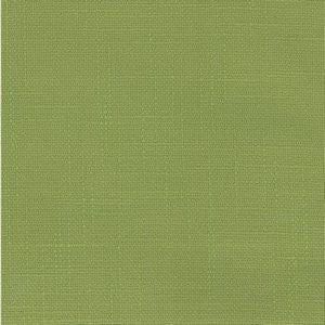 Rustic Mint by Norbar Fabric See Sample 55% RAYON 45% POLYESTER TAIWAN - </p><p>Repeat: Horizontal: and Vertical: - 54 - Fabric Carolina -