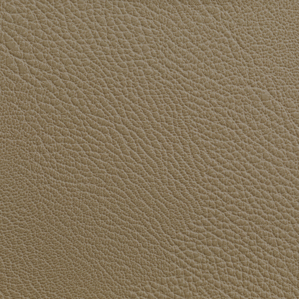 Rustler Cashew by Kravet Contract Fabric FOUNDATIONS / VALUE POLY VINYL CHLORIDE - 100% China HEAVY Horizontal: 0 and Vertical: 0 54 - Fabric Carolina -