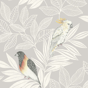 Paradise Island Birds Daydream Gray and Ivory by Seabrook Wallpaper