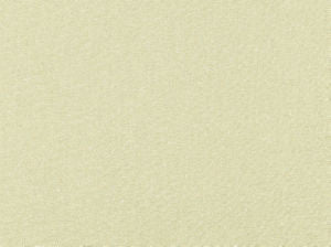 Rylie Champagne 10 by Norbar Fabric METALICA 100% POLYESTER INDIA 12,000 WYZENBEEK </p><p>Repeat: 55 - Fabric Carolina -