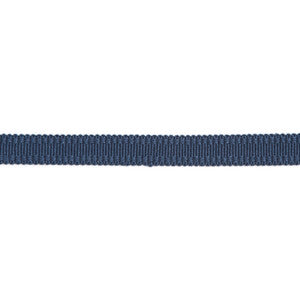 Versailles 9/16" Raised Edge Gimp Baltic by Europatex Fabric