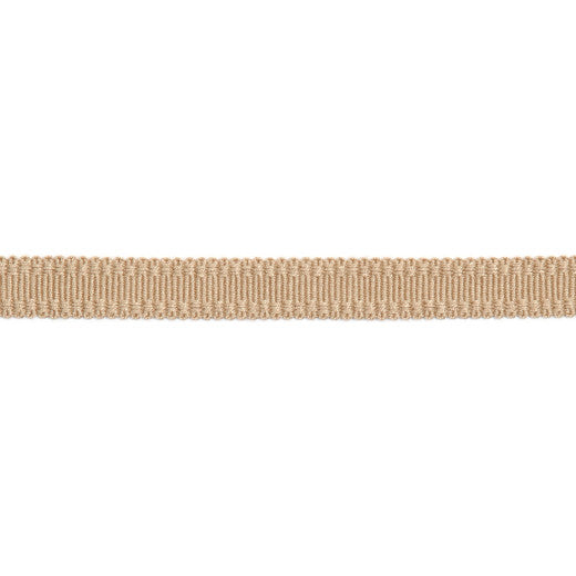 Versailles 9/16" Raised Edge Gimp - Biscotti by Europatex Fabric Versailles 100% Rayon China See Sample Horizontal: N/A and Vertical: N/A 0.56 inches  - Fabric Carolina -