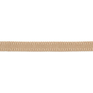 Versailles 9/16" Raised Edge Gimp Biscotti by Europatex Fabric
