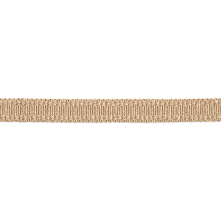 Versailles 9/16" Raised Edge Gimp Biscotti by Europatex Fabric Versailles 100% Rayon 0.56 inches - Fabric Carolina -