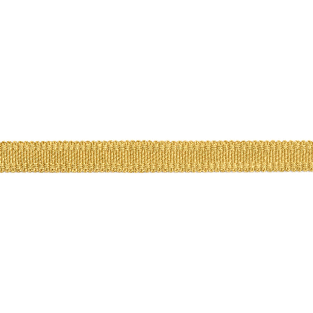 Versailles 9/16" Raised Edge Gimp Dijon by Europatex Fabric Versailles 100% Rayon 0.56 inches - Fabric Carolina -