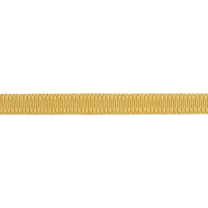 Versailles 9/16" Raised Edge Gimp Dijon by Europatex Fabric Versailles 100% Rayon 0.56 inches - Fabric Carolina -