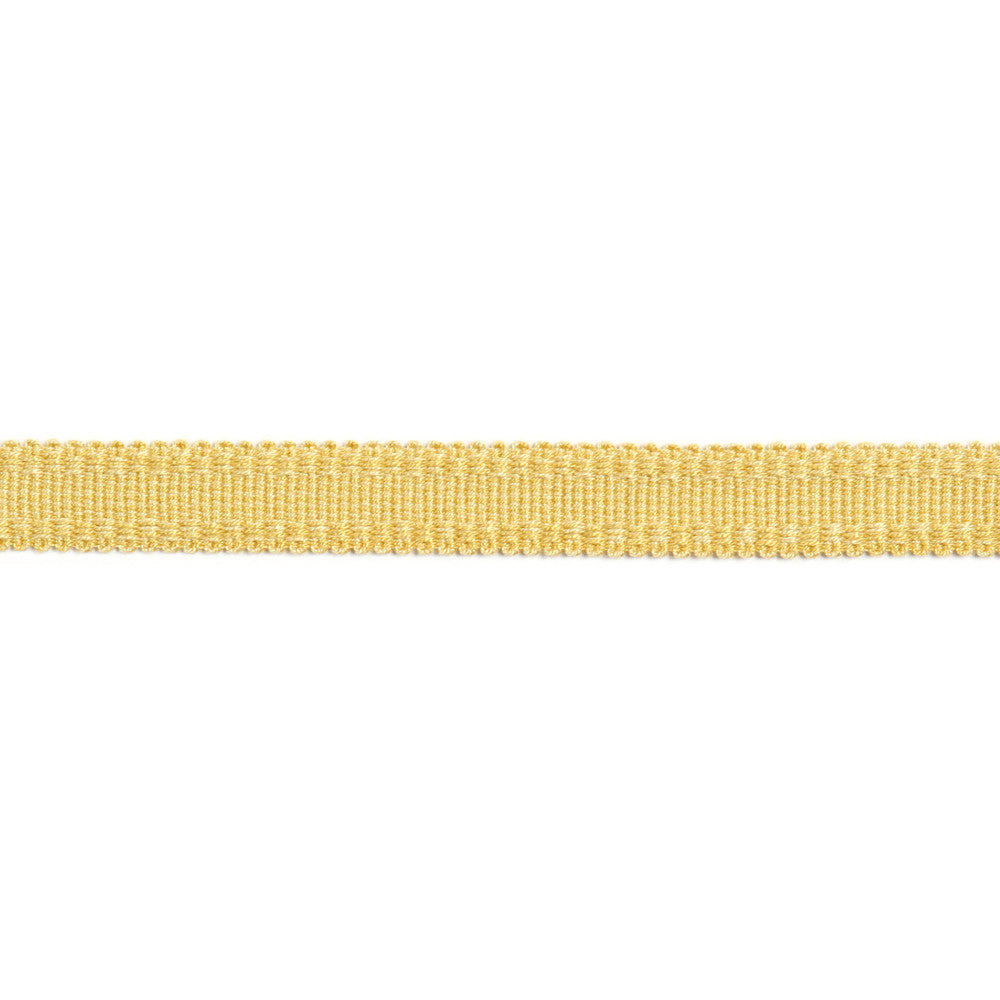 Versailles 9/16" Raised Edge Gimp Honey by Europatex Designer Fabric Versailles 100% Rayon 0.56 inches - Swanky Fabrics -