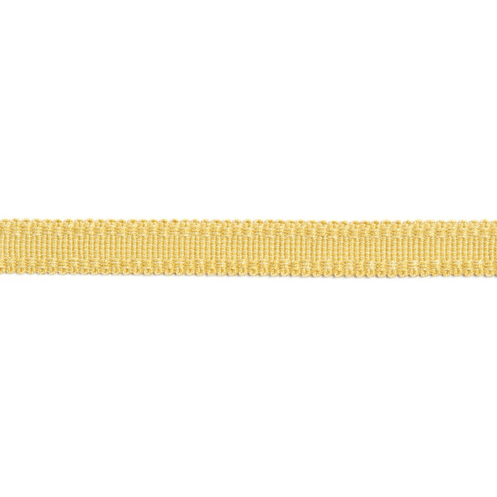 Versailles 9/16" Raised Edge Gimp Honey by Europatex Fabric Versailles 100% Rayon 0.56 inches - Fabric Carolina -