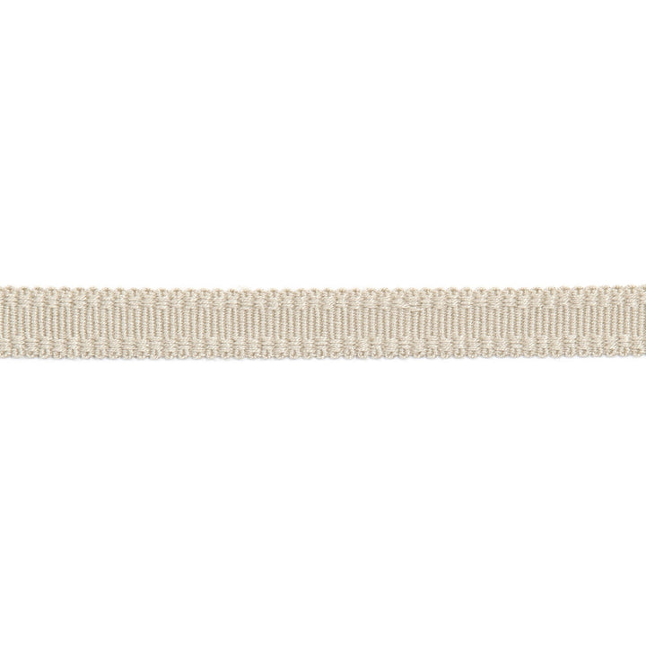 Versailles 9/16" Raised Edge Gimp Latte by Europatex Fabric Versailles 100% Rayon 0.56 inches - Fabric Carolina -