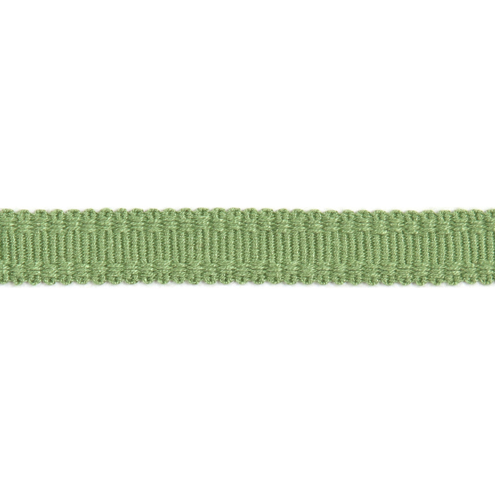 Versailles 9/16" Raised Edge Gimp Lime by Europatex Fabric Versailles 100% Rayon 0.56 inches - Fabric Carolina -