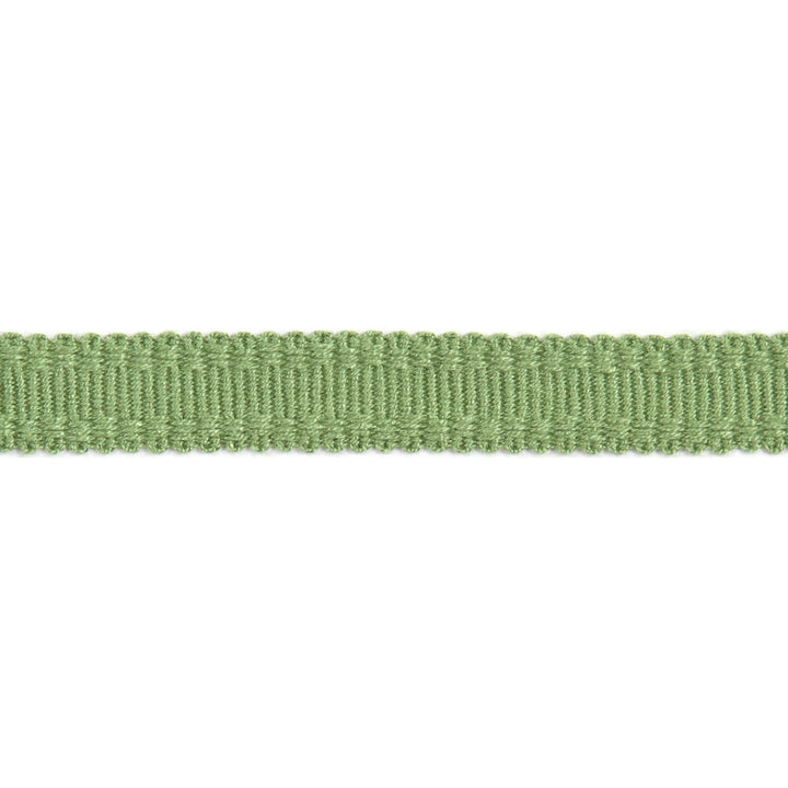 Versailles 9/16" Raised Edge Gimp Lime by Europatex Fabric Versailles 100% Rayon 0.56 inches - Fabric Carolina -