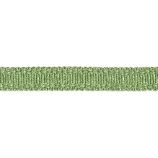 Versailles 9/16" Raised Edge Gimp - Lime by Europatex Fabric Versailles 100% Rayon China See Sample Horizontal: N/A and Vertical: N/A 0.56 inches  - Fabric Carolina -
