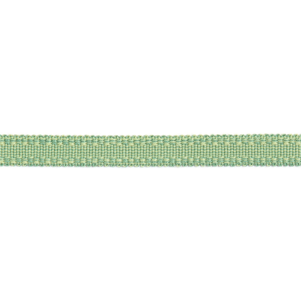 Versailles 9/16" Raised Edge Gimp Pear by Europatex Fabric Versailles 100% Rayon 0.56 inches - Fabric Carolina -