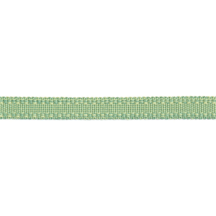 Versailles 9/16" Raised Edge Gimp Pear by Europatex Fabric Versailles 100% Rayon 0.56 inches - Fabric Carolina -