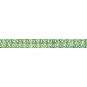 Versailles 9/16" Raised Edge Gimp Pear by Europatex Fabric