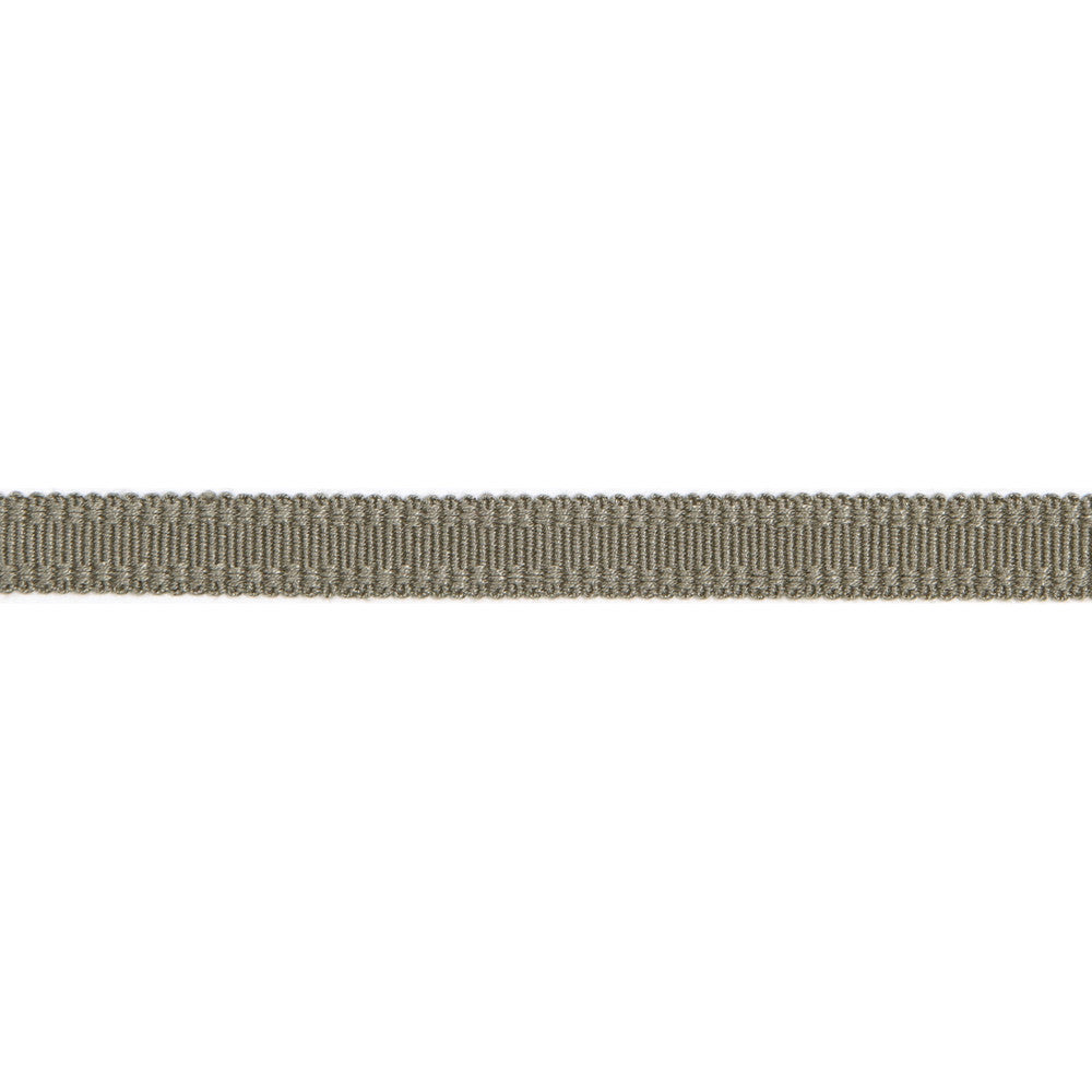 Versailles 9/16" Raised Edge Gimp Pewter by Europatex Fabric Versailles 100% Rayon 0.56 inches - Fabric Carolina -