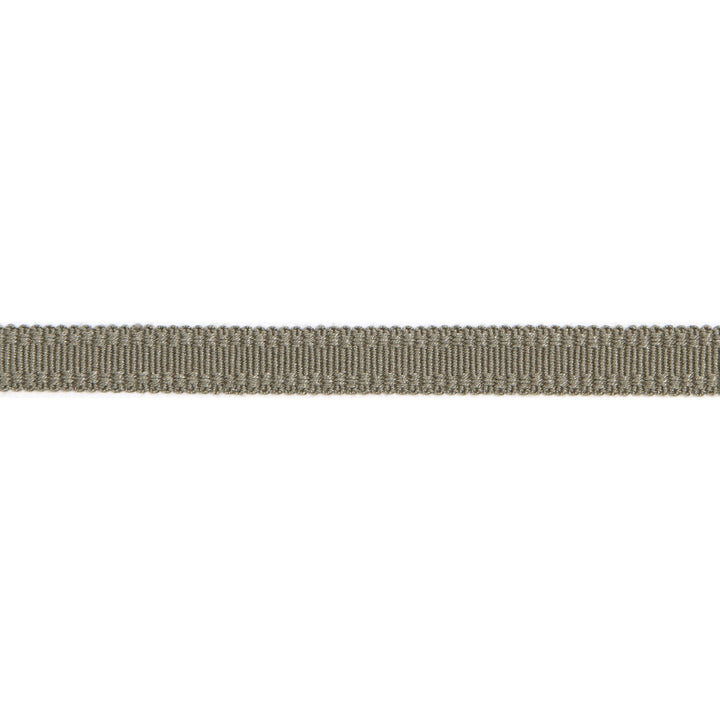 Versailles 9/16" Raised Edge Gimp Pewter by Europatex Fabric Versailles 100% Rayon 0.56 inches - Fabric Carolina -