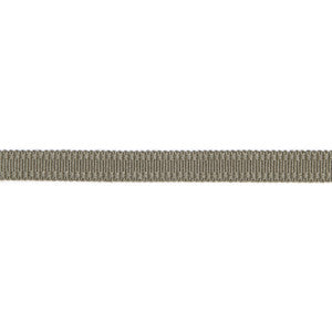 Versailles 9/16" Raised Edge Gimp Pewter by Europatex Fabric