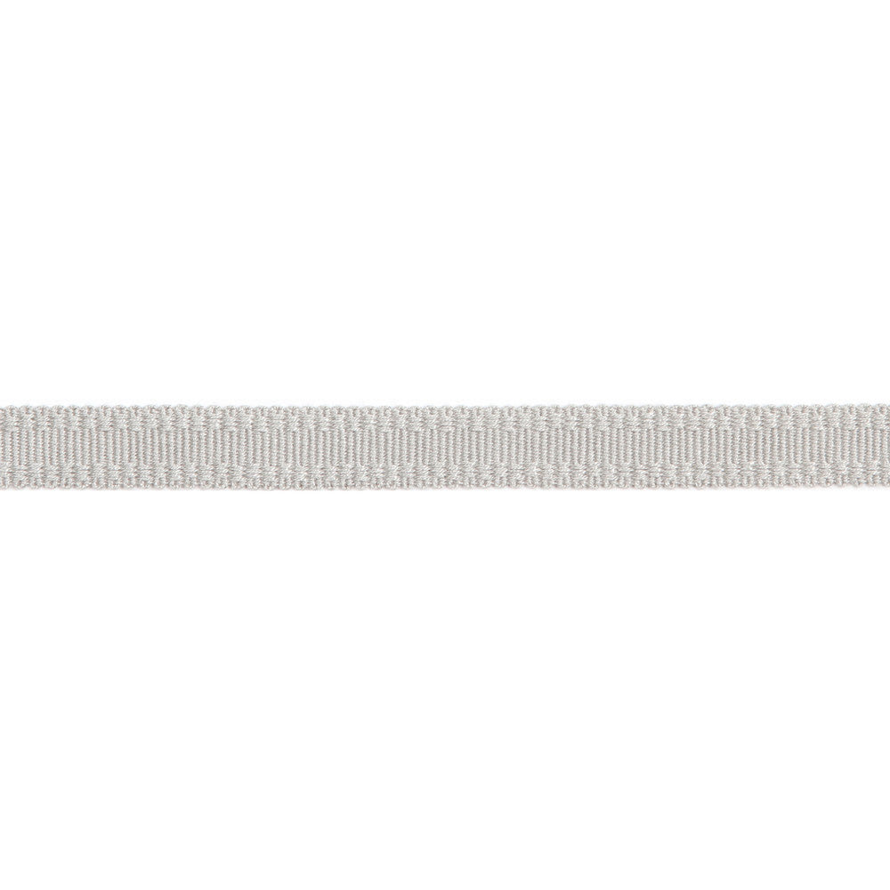 Versailles 9/16" Raised Edge Gimp Platinum by Europatex Fabric Versailles 100% Rayon 0.56 inches - Fabric Carolina -