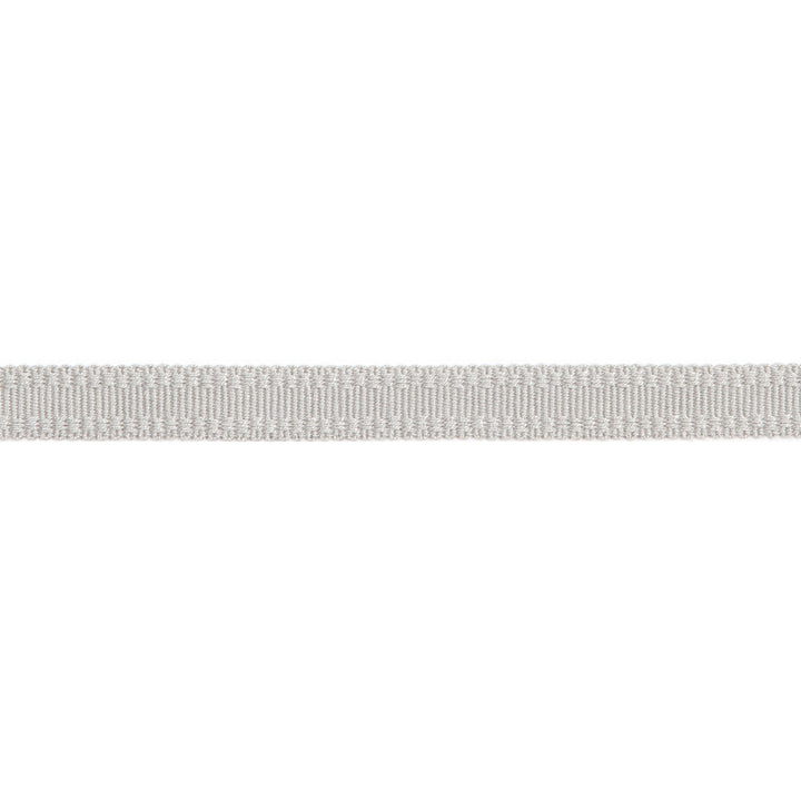 Versailles 9/16" Raised Edge Gimp Platinum by Europatex Fabric Versailles 100% Rayon 0.56 inches - Fabric Carolina -