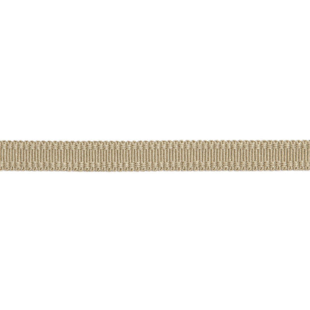 Versailles 9/16" Raised Edge Gimp Sand by Europatex Designer Fabric Versailles 100% Rayon 0.56 inches - Swanky Fabrics -