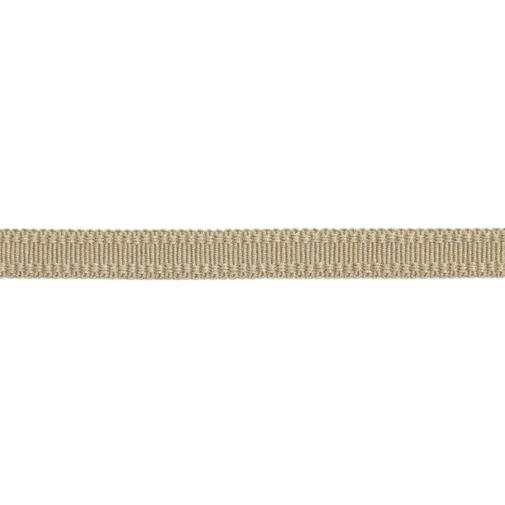 Versailles 9/16" Raised Edge Gimp Sand by Europatex Fabric Versailles 100% Rayon 0.56 inches - Fabric Carolina -