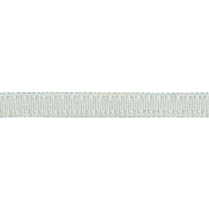 Versailles 9/16" Raised Edge Gimp Soft Mineral by Europatex Fabric Versailles 100% Rayon 0.56 inches - Fabric Carolina -