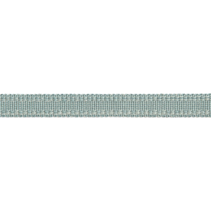 Versailles 9/16" Raised Edge Gimp Spa by Europatex Designer Fabric Versailles 100% Rayon 0.56 inches - Swanky Fabrics -