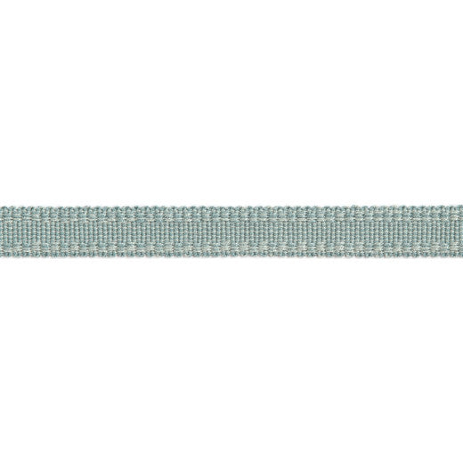 Versailles 9/16" Raised Edge Gimp - Spa by Europatex Designer Fabric Versailles 100% Rayon China See Sample Horizontal: N/A and Vertical: N/A 0.56 inches  - Swanky Fabrics -